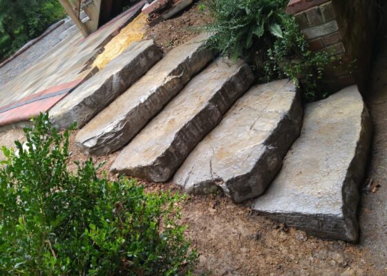 patio - Evergreen Fence & Deck