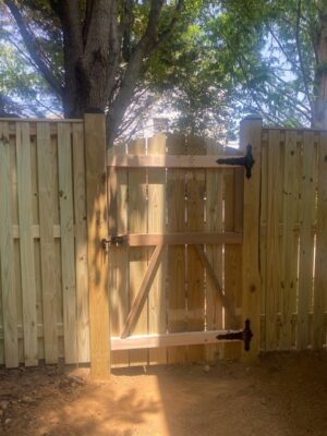 gate-41b